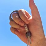 Titanium Mystery Everyday Carry Guardian Pack - Image 8