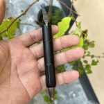 Titanium Scribe Multifunctional Pen - Image 4